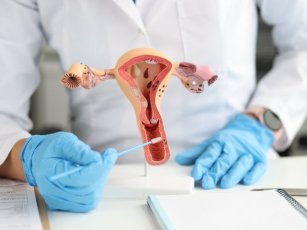 IN VITRO FERTILIZATION CENTER PRICES