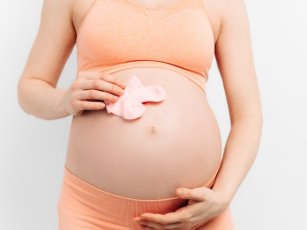 SURROGATE MOTHER WIKIPEDIA