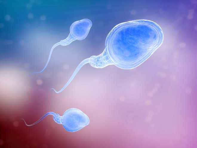 HOW IS SPERM DONATION PERFORMED