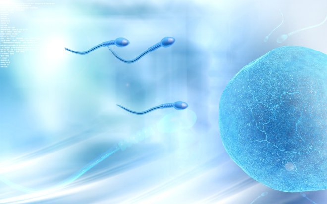 IN VITRO FERTILIZATION CENTER REVIEWS