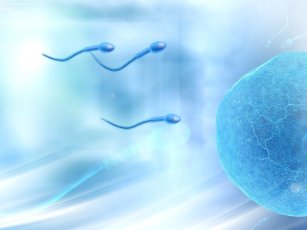IN VITRO FERTILIZATION CENTER REVIEWS