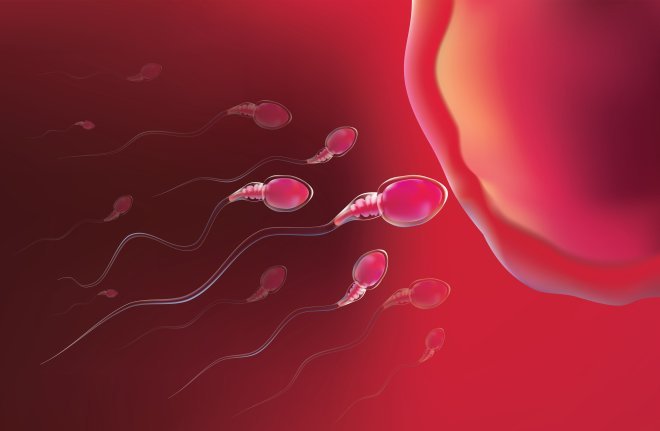IN VITRO FERTILIZATION CENTERS