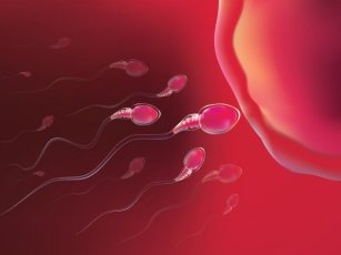 IN VITRO FERTILIZATION CENTERS
