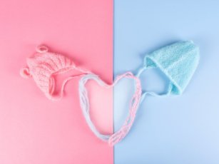 SEX DETERMINATION BY PGT(PGD) METHOD