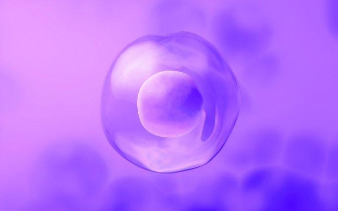 HOW IS EGG FREEZING DONE?