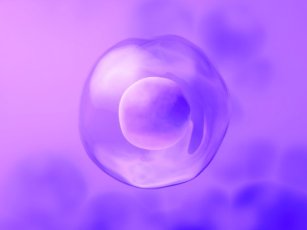 HOW IS EGG FREEZING DONE?