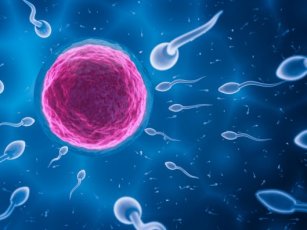 EGG DONATION SPECIALIST