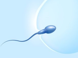 EGG DONATION TREATMENT