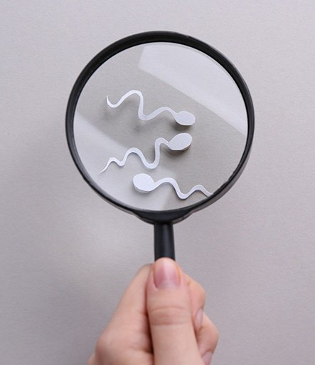 SPERM SEARCH TESA, TESE