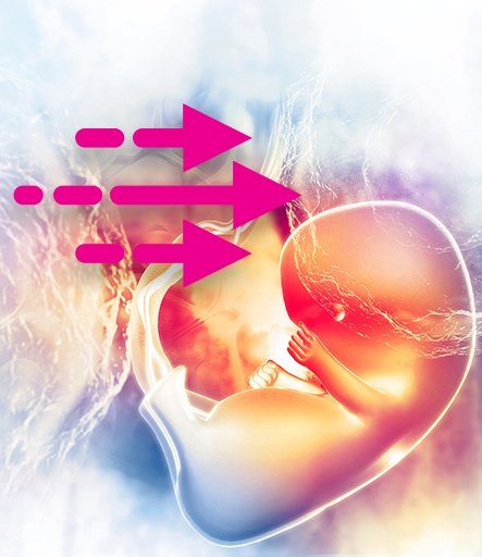 FROZEN EMBRYO TRANSFER