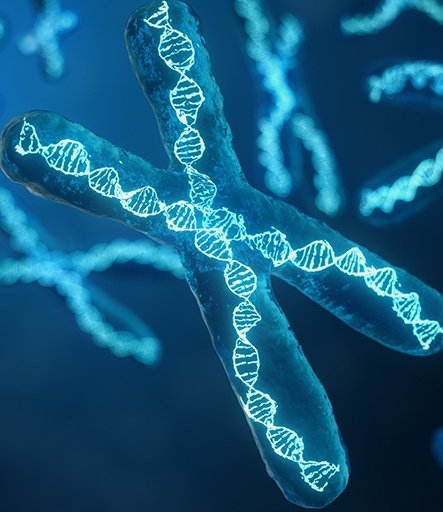 NGS NEXT-GENERATION SEQUENCING