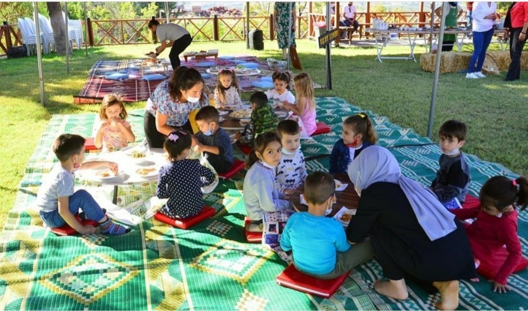 08735cd3-ea17-49ff-8b7c-901d200294da