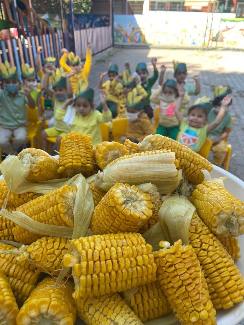 8ba772fc-13ab-4987-a4dd-5b1879bb53a0