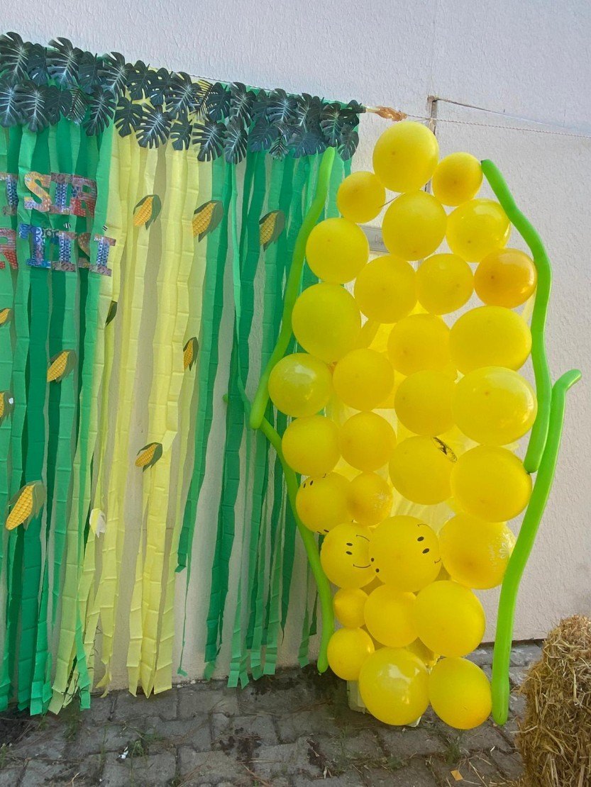 50c03bab-1365-4b52-ae0b-ba820d9a9320