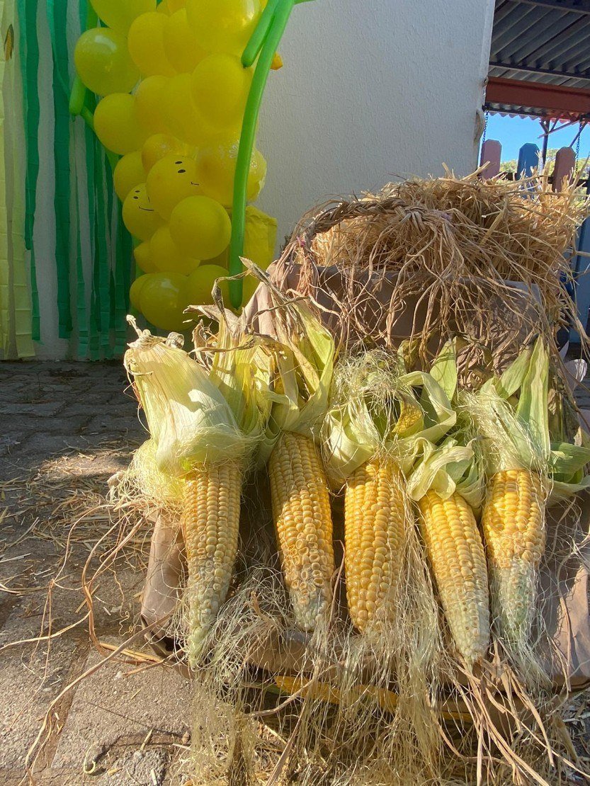 3985df8d-3374-4ec0-87a0-1f26fbed9985