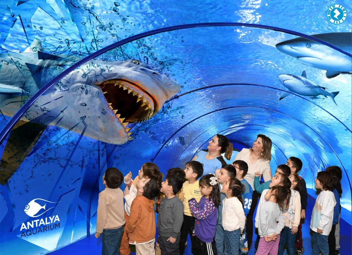 d418559a-6d1d-4aeb-b98f-be6a6fef78cf