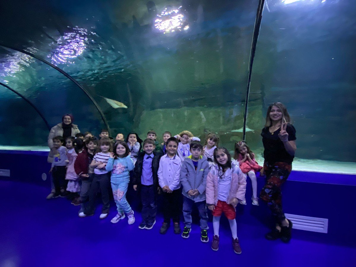 4b6f6ed3-06da-4511-99af-be68ffcdd491