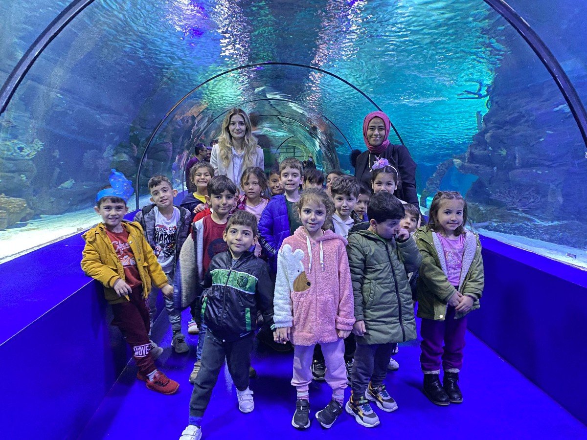 39072bf9-1016-46ef-9761-9ff2ba1194f6