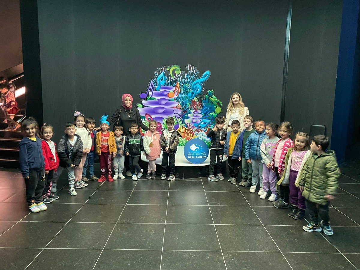 d9647d03-ebea-49af-8e4f-34f1cb117490