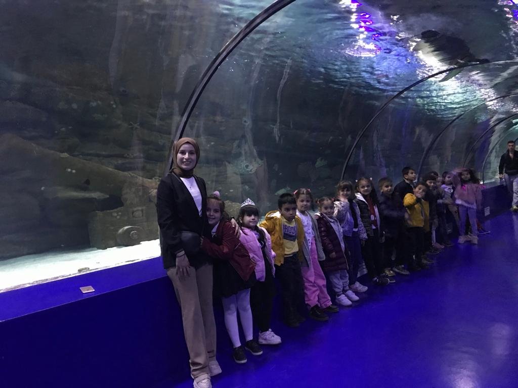 1078a451-0cce-4540-b7a3-5b283cecf527