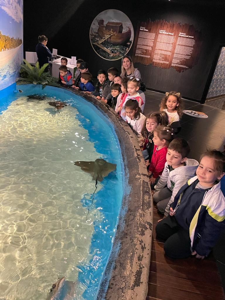 6cdb24a8-3829-450a-881a-de1fe68f66e0