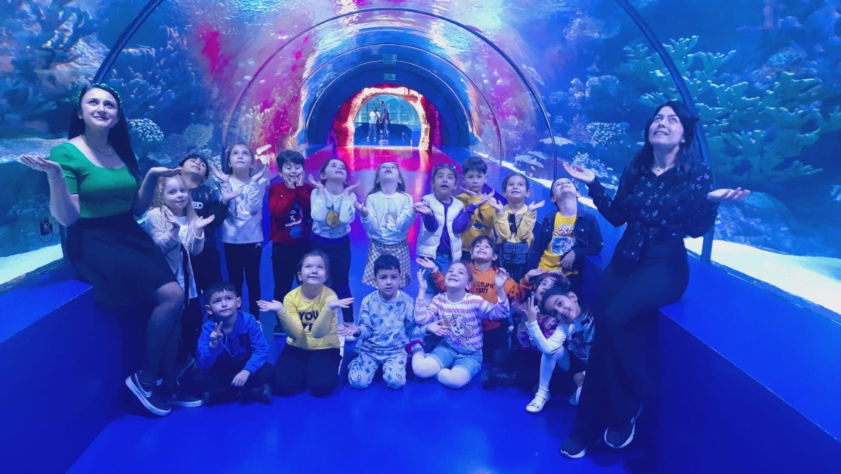 beaf5edd-b528-46b4-9ff4-84aadec7b552