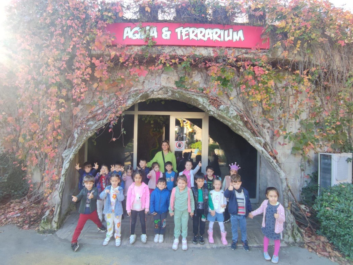 WhatsApp Image 2023-12-05 at 08.52.06