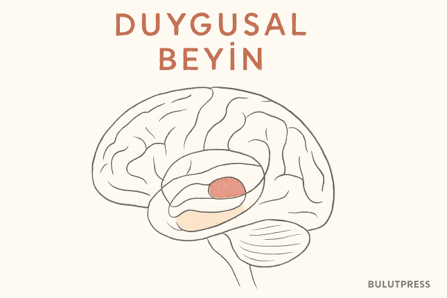 Duygusal Beyin: Kullanıcı Deneyiminde Bilinçaltı Gücü