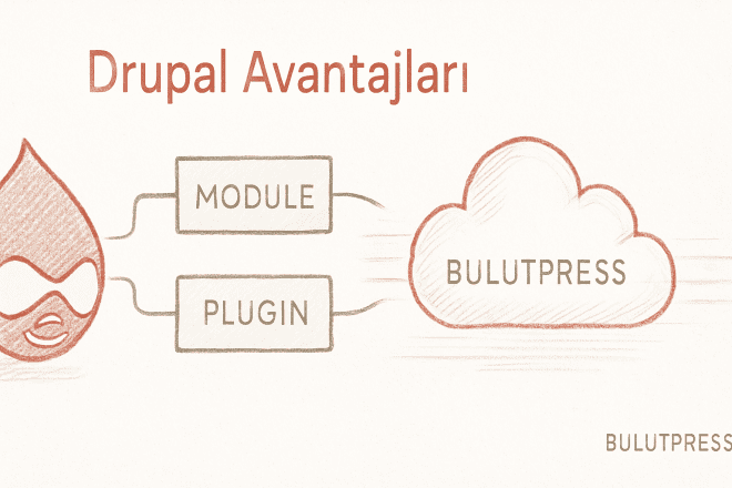 Drupal Nedir? Avantajları ve Dezavantajları