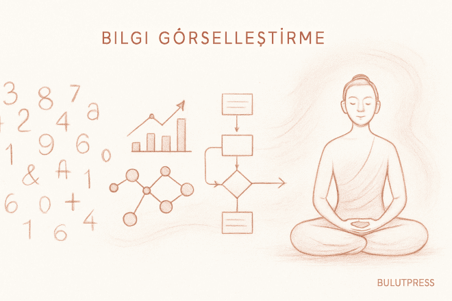 Veriden Bilgeliğe: Görselleştirmenin Yaptığı ve Yapmadığı