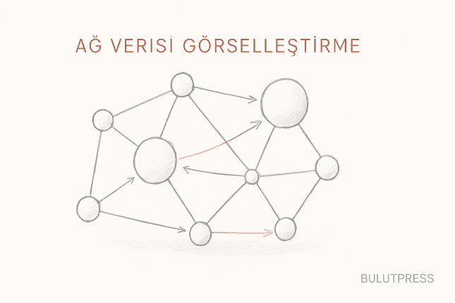 Ağ Verisi Görselleştirme: Düğüm, Kenar ve Ölçek Sorunu