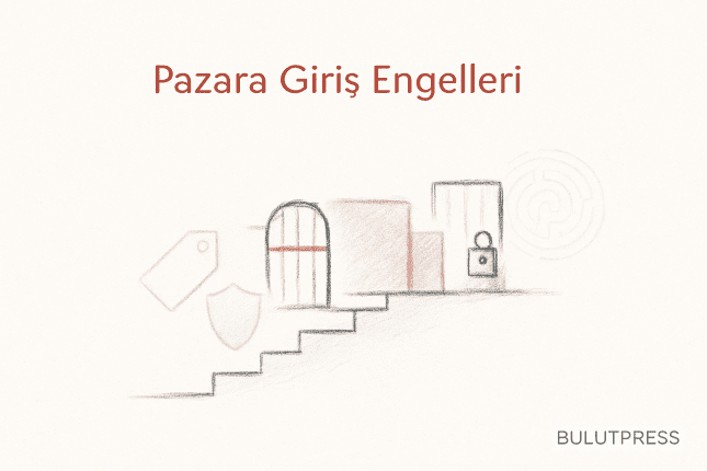 Pazara Giriş Engelleri: Hangisi Gerçek Engel, Hangisi Maliyet?