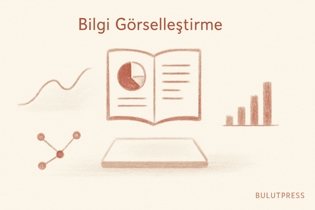Bilgi Görselleştirme: Çarpıtmayı Ölçmek, Fazlalığı Atmak