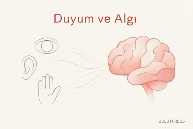 Duyum ve algı farkı arayüz kararlarını nasıl değiştirir?