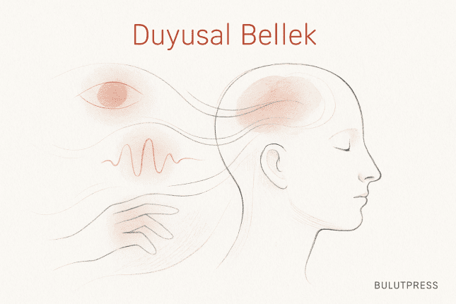Duyusal Bellek: İkonik, Ekoik ve Haptik Belleğin İşleyişi