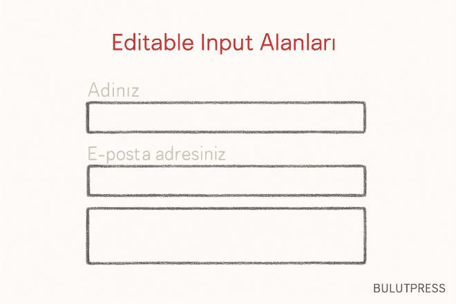 Form Tasarımında Serbest Metin Alanı Kararı ve Maliyeti