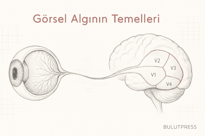 Tasarımda Görsel Algı: Kontrast Testi Neyi Kaçırır?