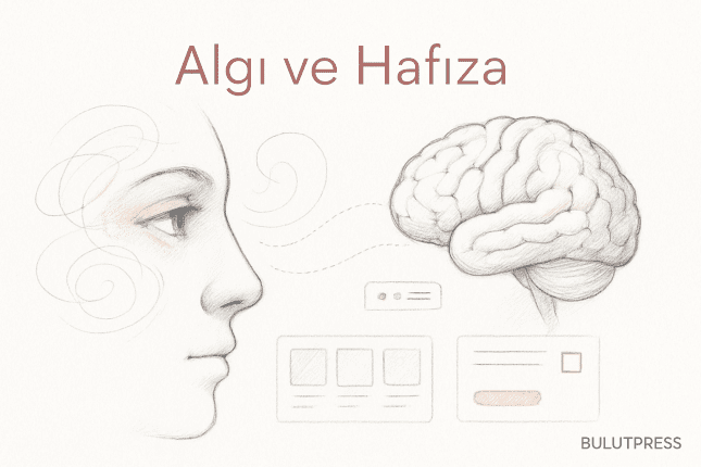Algı ve Hafıza: Arayüz Tasarımında Ne İşe Yarar, Ne İşe Yaramaz