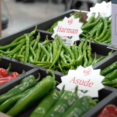 Petektar Tohum 2022 Growtech Fuarı -8