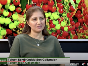 Sektör Analiz Proğramında Gündem / 2017