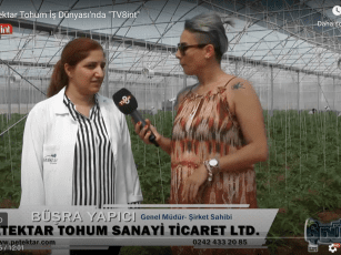 Petektar Tohum TV8 “İş Dünyası” / 2016