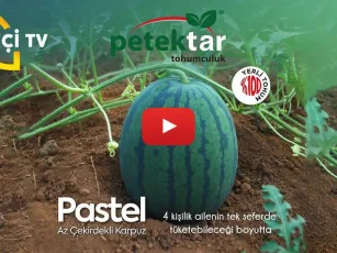 “Karpuz Yetiştiriciliği” ÇiftçiTV / 2016