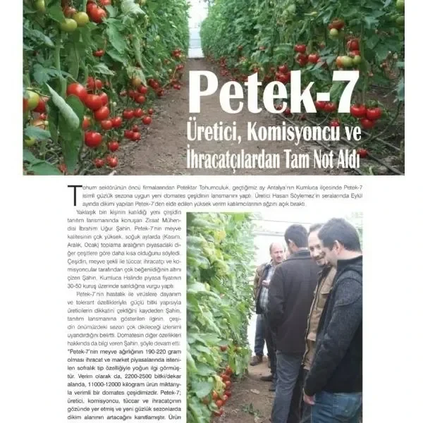 Harman-Time-Petek-7-Domates-Haberi