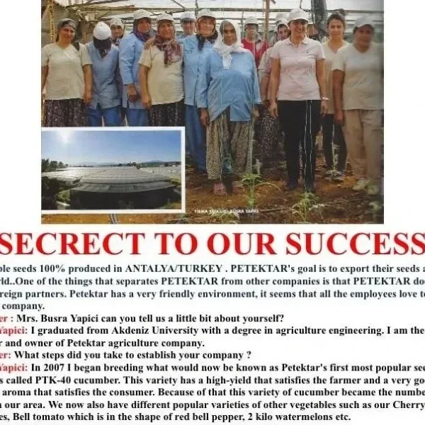 Petektar-Basari-Sirlari