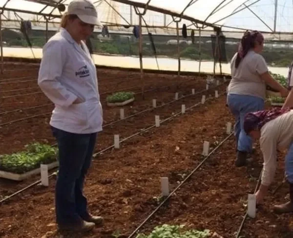 Bir-Basari-Hikayesi-Petektar-2