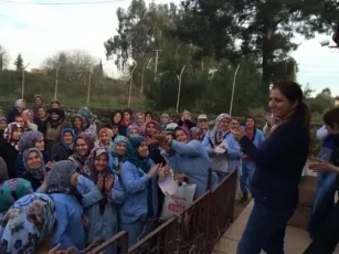 Bir Başarı Hikayesi / 2014