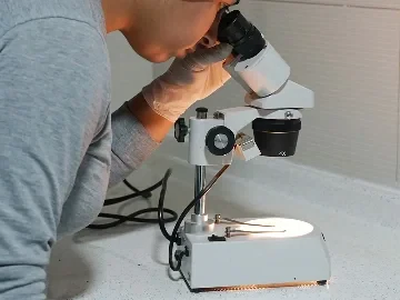 Petektar Tohumculuk Ar-Ge