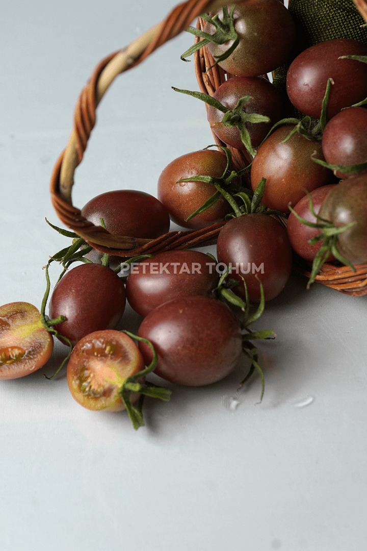 Petektar-Tohum-Marianna-Domates