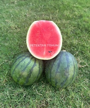Pastel Karpuz Çeşidi