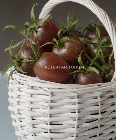 Marianna Domates Çeşidi